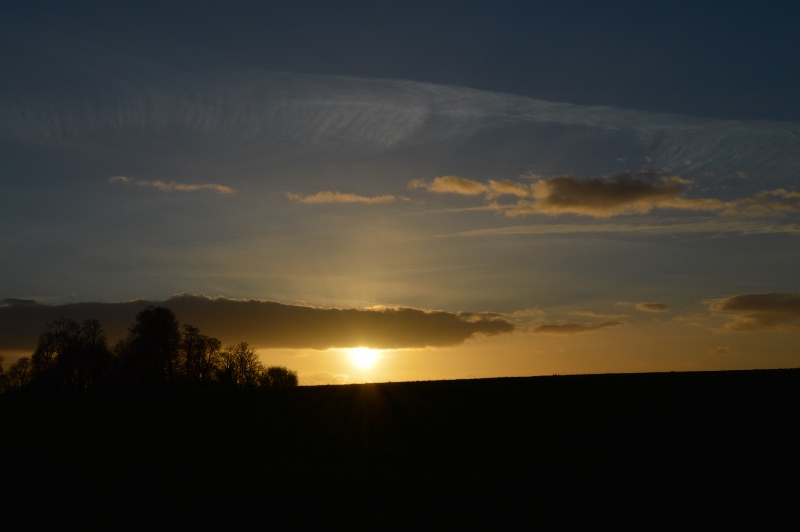 DSC_0303a (800x532).jpg